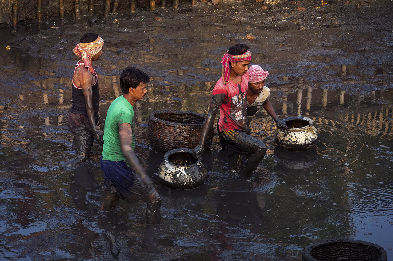 Catching the last fish in a drained fish pond, outskirts of Kolkata, India ©2017