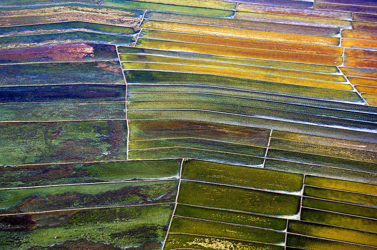 Aerial view of farmland outside Manila, Philippines ©2017